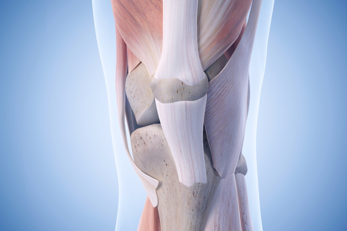 How To Test For Knee Ligament Injury A Comprehensive Guide Dr Ashish